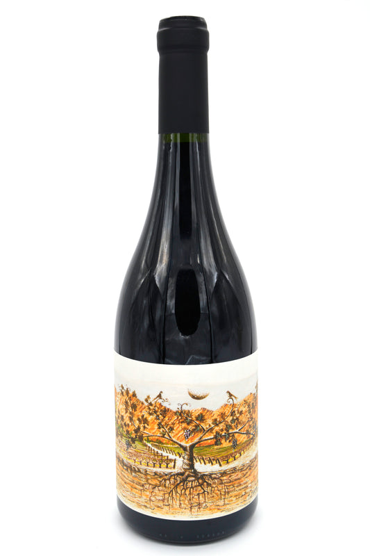 Vino Alejandro Sejanovich Almacén de la Quebrada Malbec