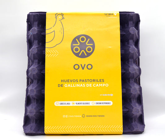 Huevos Maple de 30 OVO Gallina Pastoril
