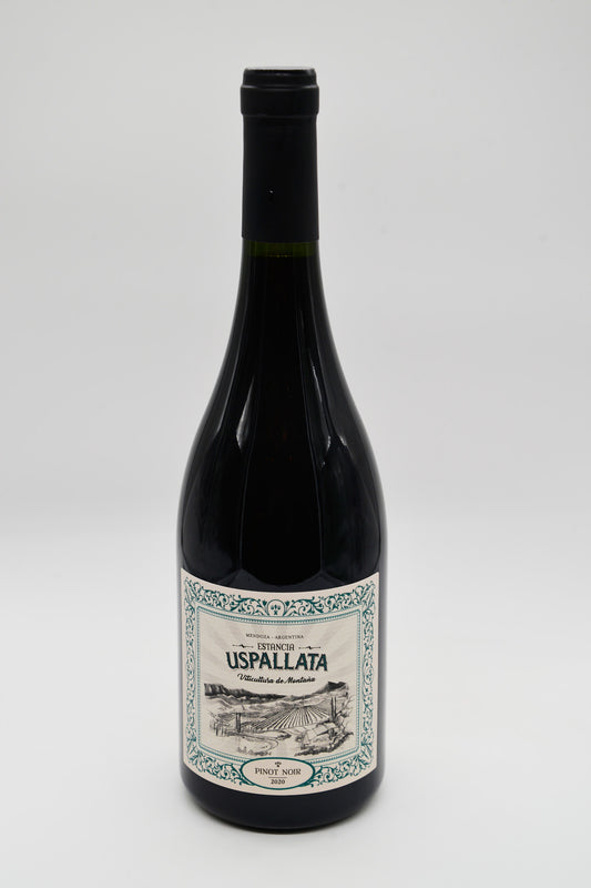 Vino Alejandro Sejanovich Estancia Uspallata Pinot Noir