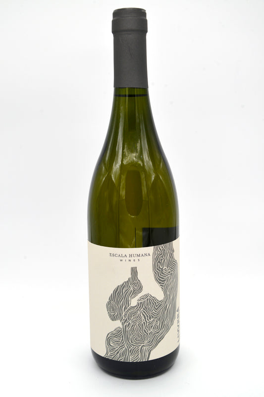 Vino Escala Humana Livvera Malvasía