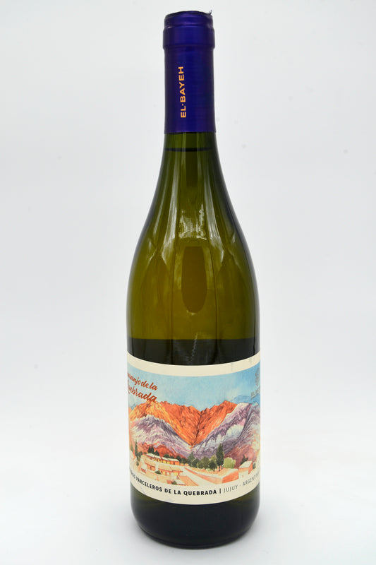 Vino El Bayeh Naranjo de la Quebrada Criollas Blancas